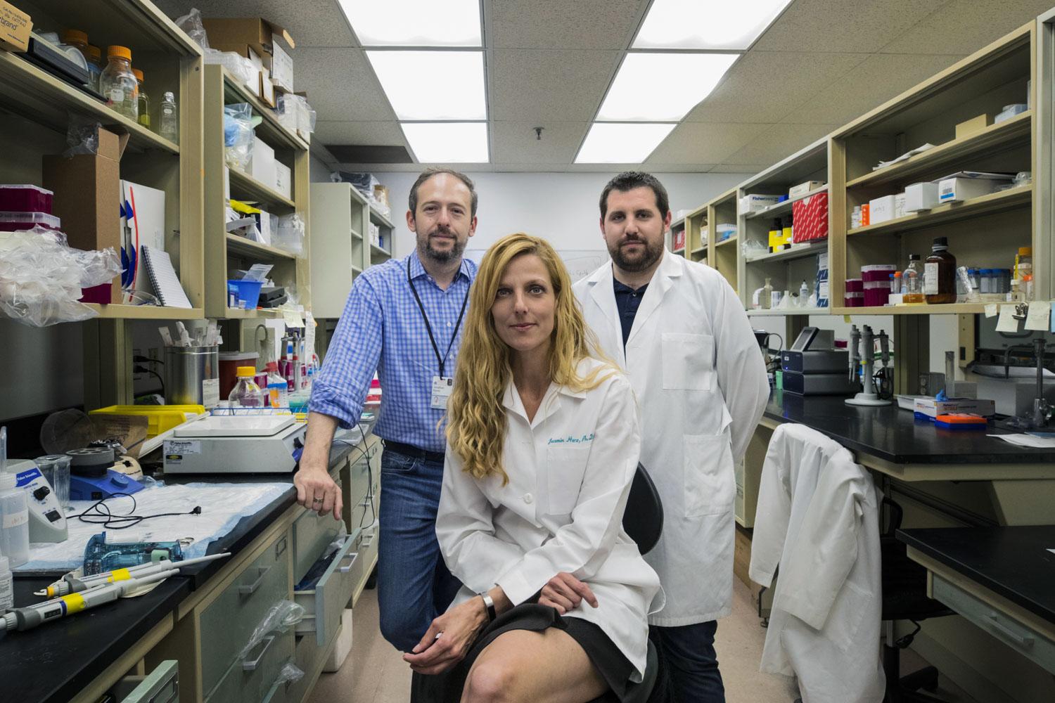 2019 year - What kind of MS medical team do you have 2019 year